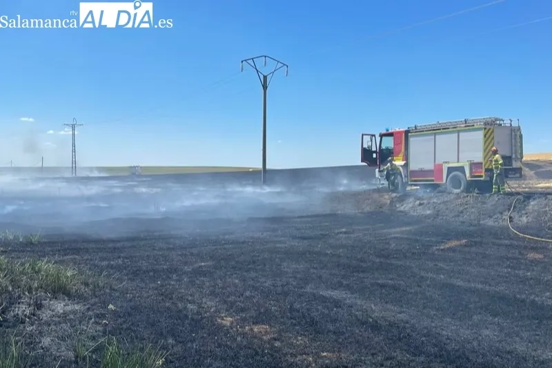 Foto 9 - Bomberos de Pe&ntilde;aranda sofocan un violento incendio declarado en el termino de Nava de Sotrobal