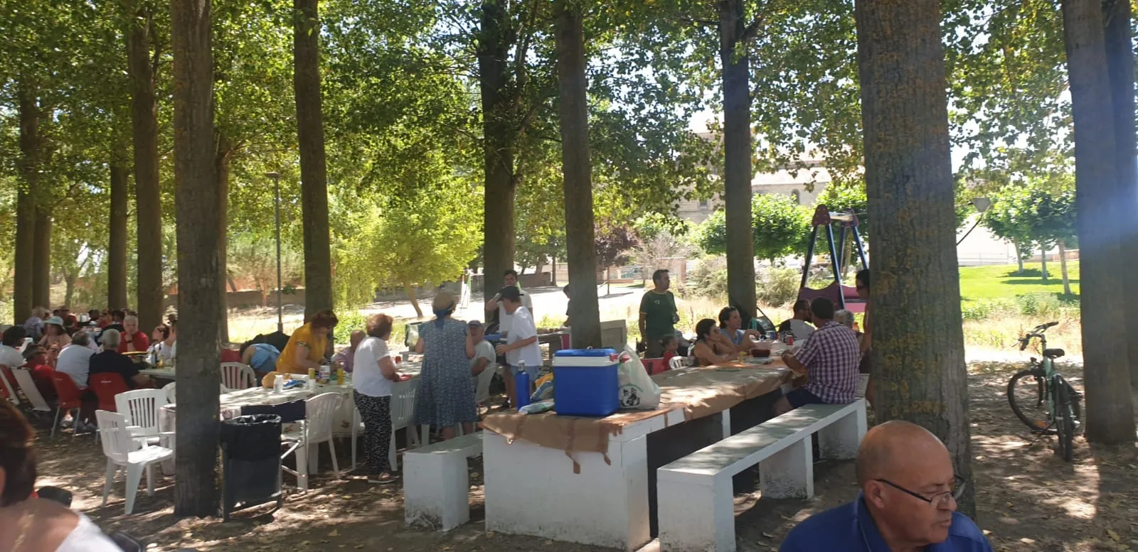 Foto 8 - Multitudinaria paellada para despedir las fiestas de Santiago de la Puebla
