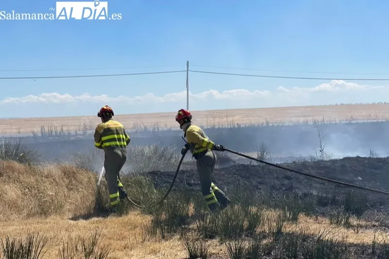 Foto 3 - Bomberos de Pe&ntilde;aranda sofocan un violento incendio declarado en el termino de Nava de Sotrobal