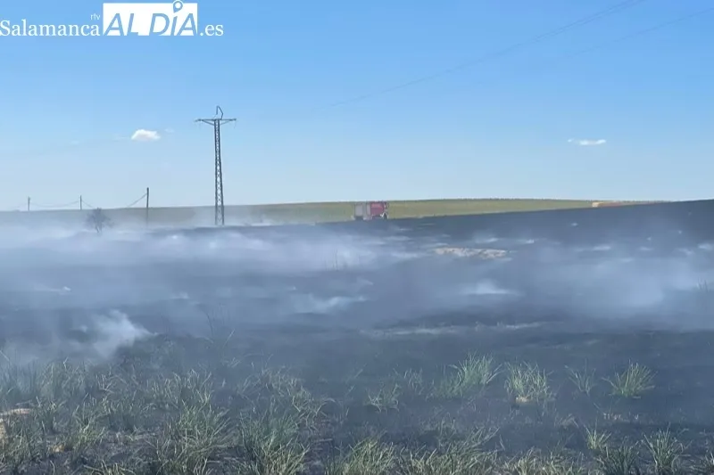 Foto 5 - Bomberos de Pe&ntilde;aranda sofocan un violento incendio declarado en el termino de Nava de Sotrobal
