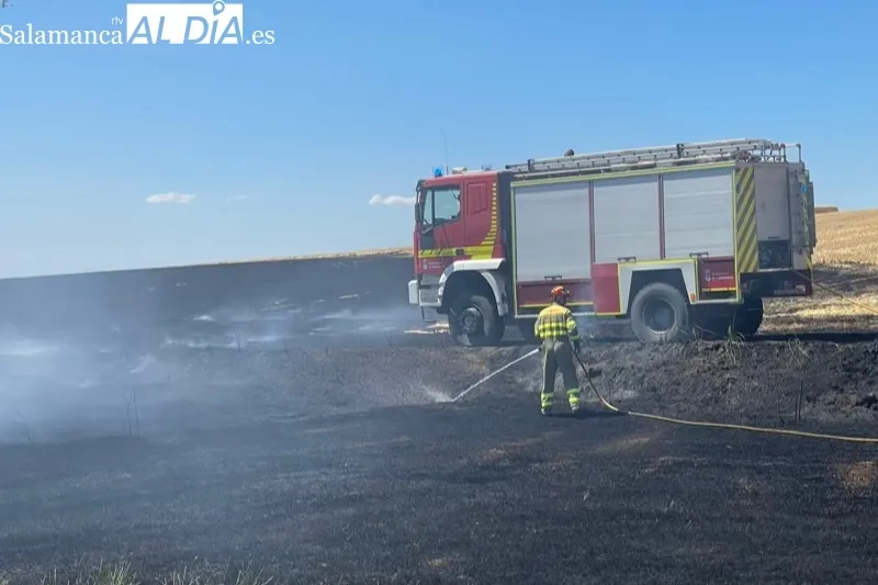 Foto 2 - Bomberos de Pe&ntilde;aranda sofocan un violento incendio declarado en el termino de Nava de Sotrobal