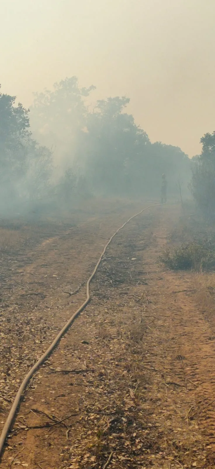 Imágenes de la lucha contra el fuego en Losacio de los bomberos de Peñaranda 
