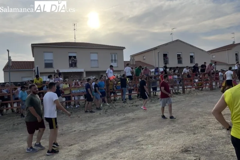 Foto 2 - Villoruela se echa a las calles para vivir el esperado Toro de Caj&ograve;n