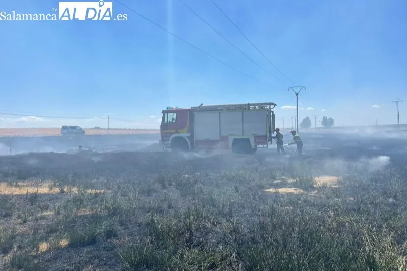 Foto 7 - Bomberos de Pe&ntilde;aranda sofocan un violento incendio declarado en el termino de Nava de Sotrobal
