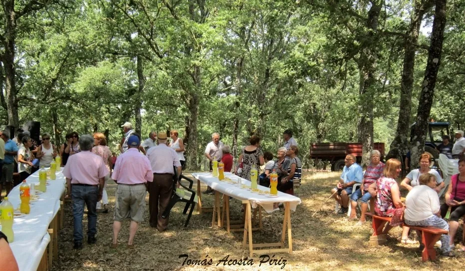Foto 5 - M&aacute;s de 200 personas asisten a la convivencia de las asociaciones de mayores de El Rebollar