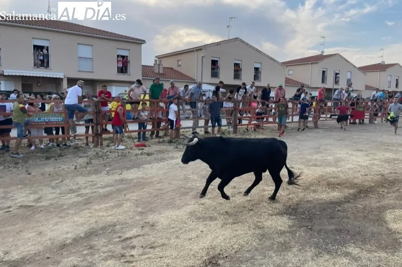 Villoruela se llenaba de aficionados para vivir el encierro del Toro del Cajòn