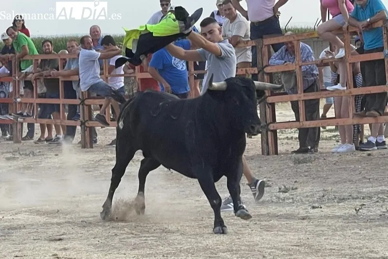 Villoruela se llenaba de aficionados para vivir el encierro del Toro del Cajòn