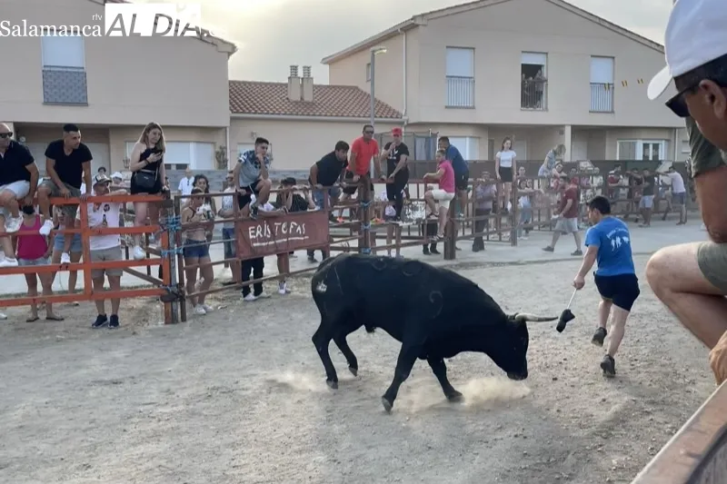 Foto 3 - Villoruela se echa a las calles para vivir el esperado Toro de Caj&ograve;n