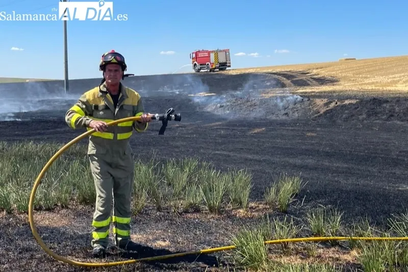 Foto 10 - Bomberos de Pe&ntilde;aranda sofocan un violento incendio declarado en el termino de Nava de Sotrobal