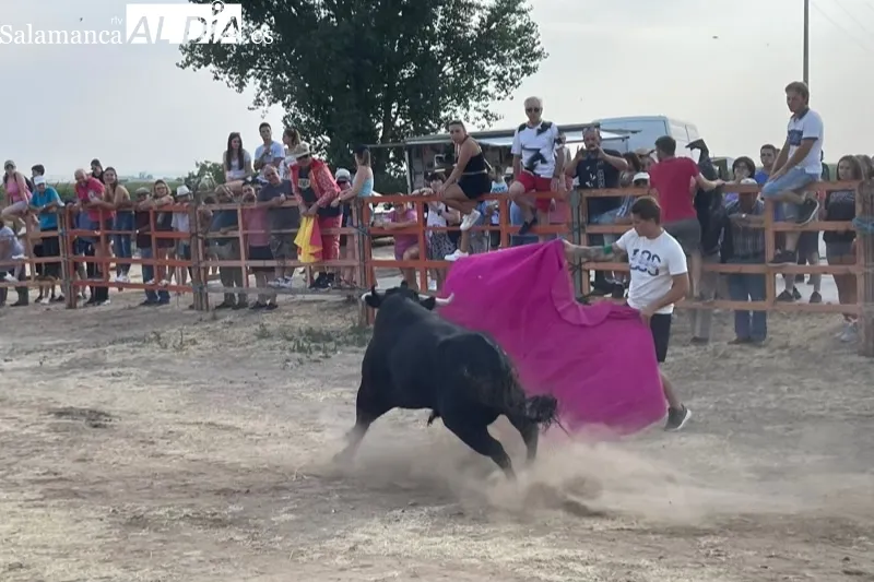 Villoruela se llenaba de aficionados para vivir el encierro del Toro del Cajòn