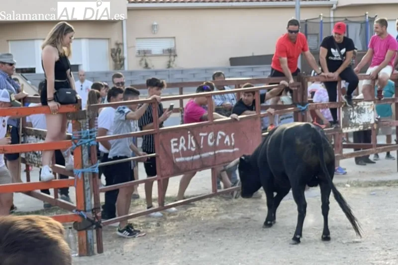 Foto 6 - Villoruela se echa a las calles para vivir el esperado Toro de Caj&ograve;n