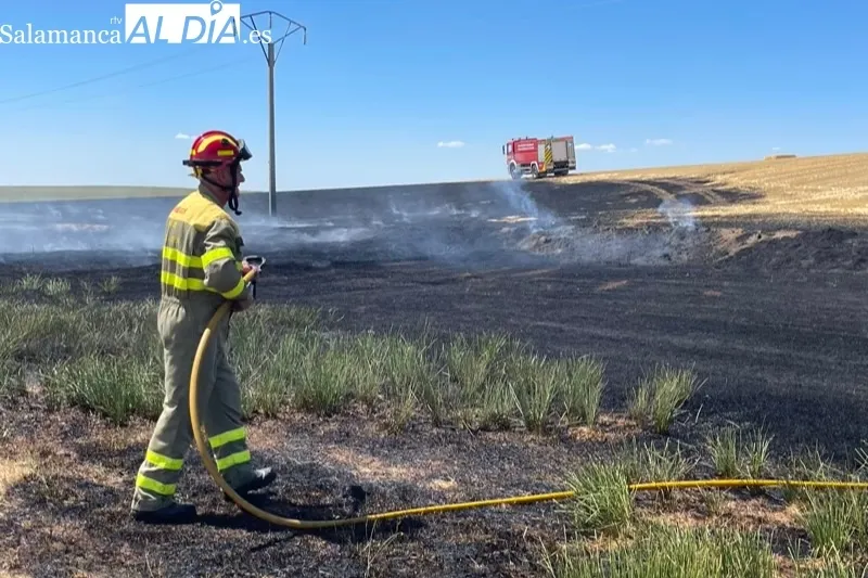 Foto 11 - Bomberos de Pe&ntilde;aranda sofocan un violento incendio declarado en el termino de Nava de Sotrobal