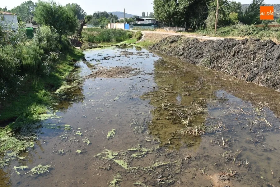 Foto 8 - En marcha una nueva operaci&oacute;n de limpieza del Regato Bod&oacute;n