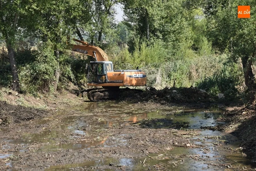 Foto 5 - En marcha una nueva operaci&oacute;n de limpieza del Regato Bod&oacute;n