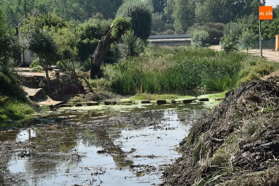 Foto 3 - En marcha una nueva operaci&oacute;n de limpieza del Regato Bod&oacute;n