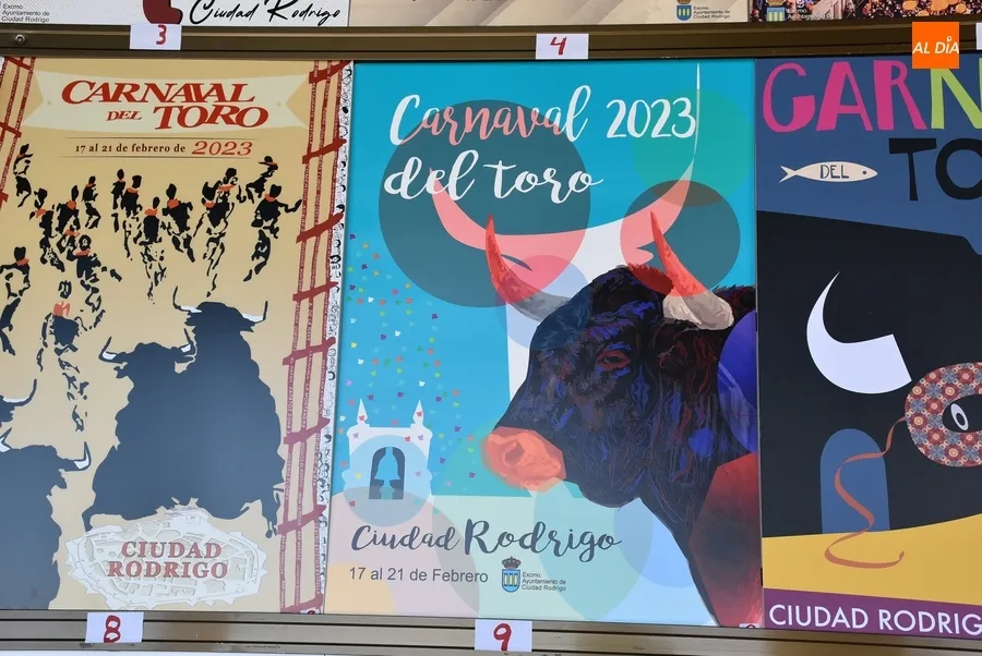 Foto 7 - Doce trabajos aspiran a anunciar el Carnaval del Toro 2023