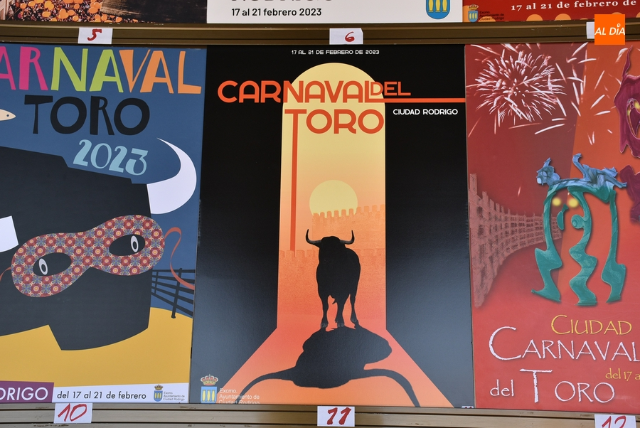 Foto 5 - Doce trabajos aspiran a anunciar el Carnaval del Toro 2023