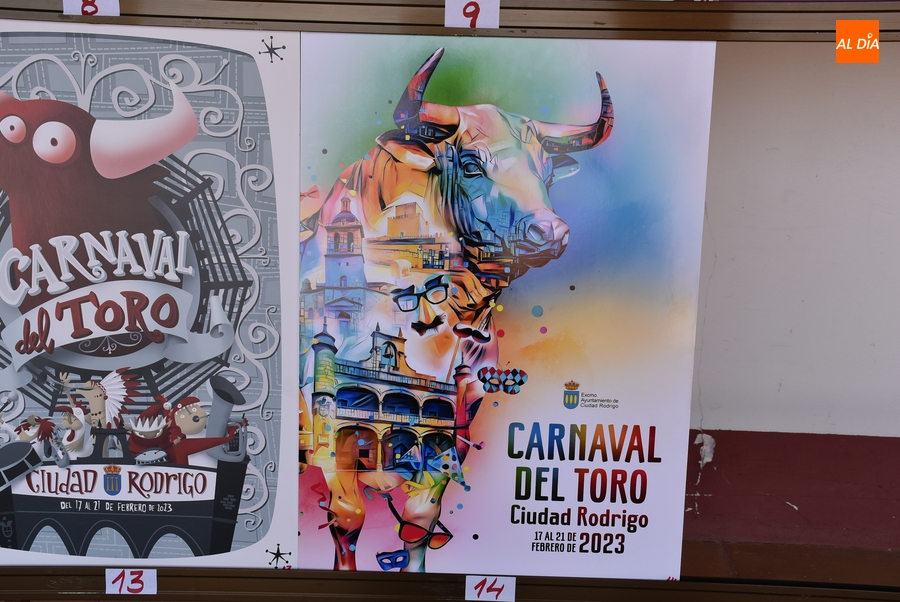 Foto 2 - Doce trabajos aspiran a anunciar el Carnaval del Toro 2023