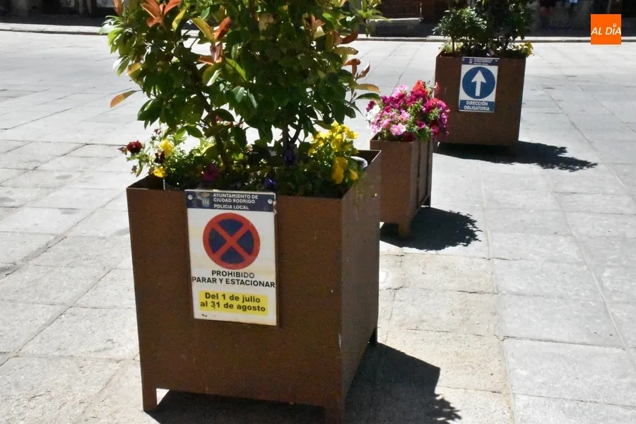 Foto 4 - La Plaza Mayor, libre ya de veh&iacute;culos salvo por los &lsquo;despistados&rsquo;