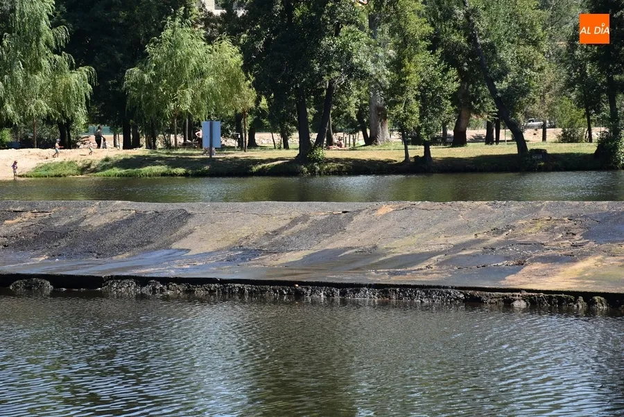 Foto 5 - La presa de La Pesquera, objeto de una limpieza para retirar el verd&iacute;n