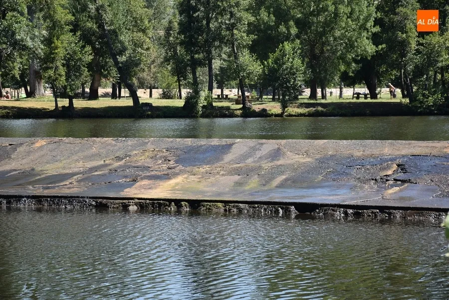 Foto 6 - La presa de La Pesquera, objeto de una limpieza para retirar el verd&iacute;n