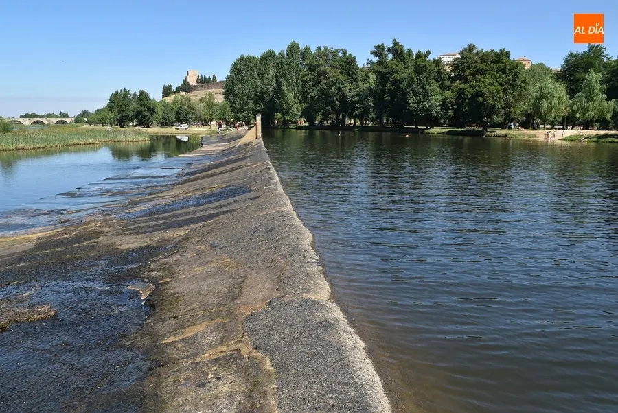Foto 8 - La presa de La Pesquera, objeto de una limpieza para retirar el verd&iacute;n