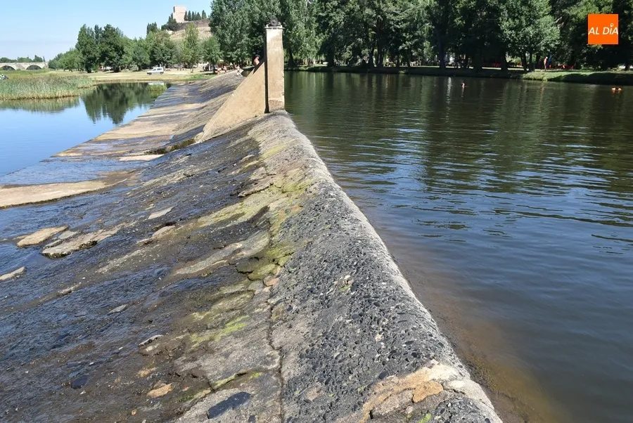 Foto 10 - La presa de La Pesquera, objeto de una limpieza para retirar el verd&iacute;n