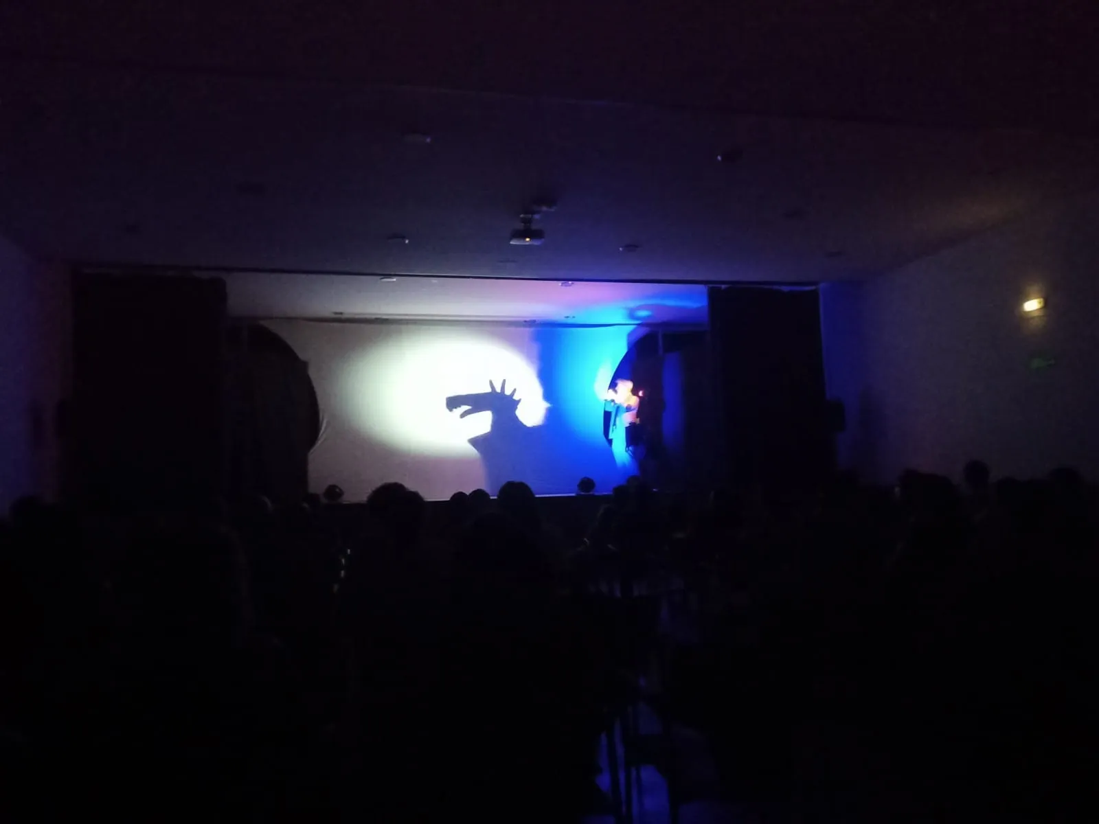 Huerta disfrutaba del espectáculo de sombras Nocturna 