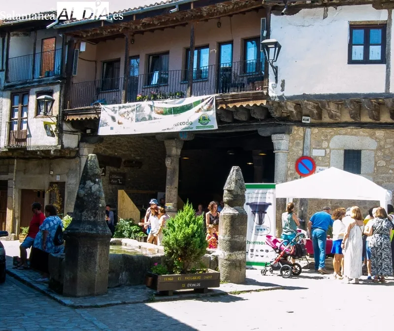 Foto 11 - El tomate, protagonista en San Mart&iacute;n del Casta&ntilde;ar