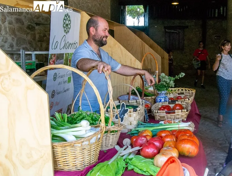 Foto 10 - El tomate, protagonista en San Mart&iacute;n del Casta&ntilde;ar