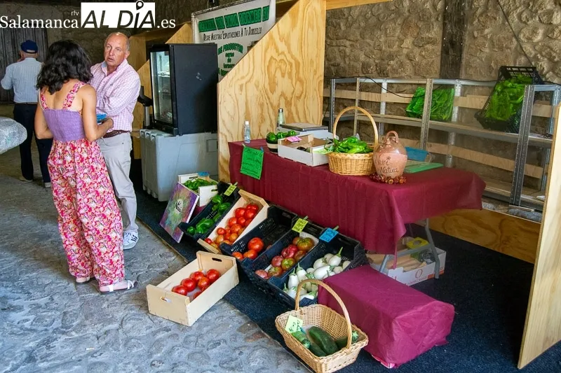 Foto 9 - El tomate, protagonista en San Mart&iacute;n del Casta&ntilde;ar