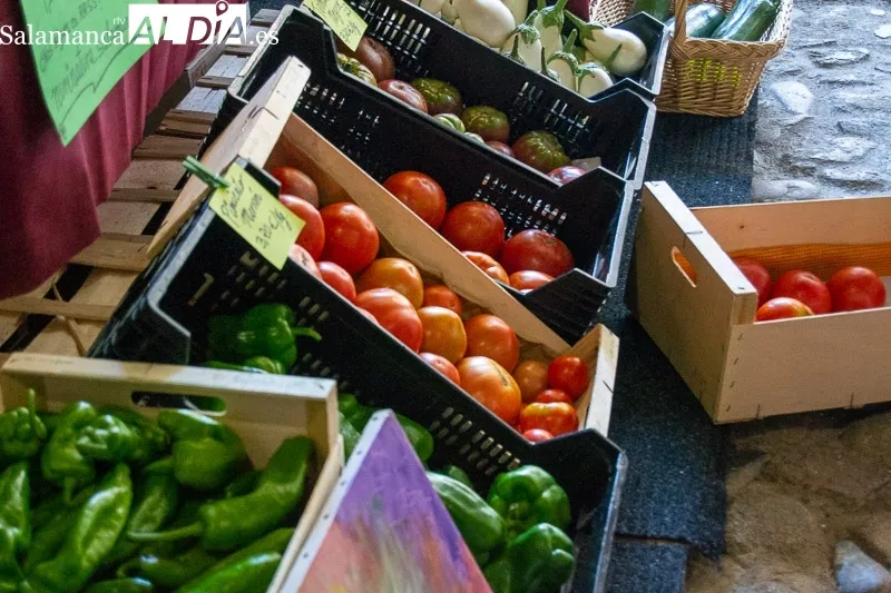 Foto 8 - El tomate, protagonista en San Mart&iacute;n del Casta&ntilde;ar