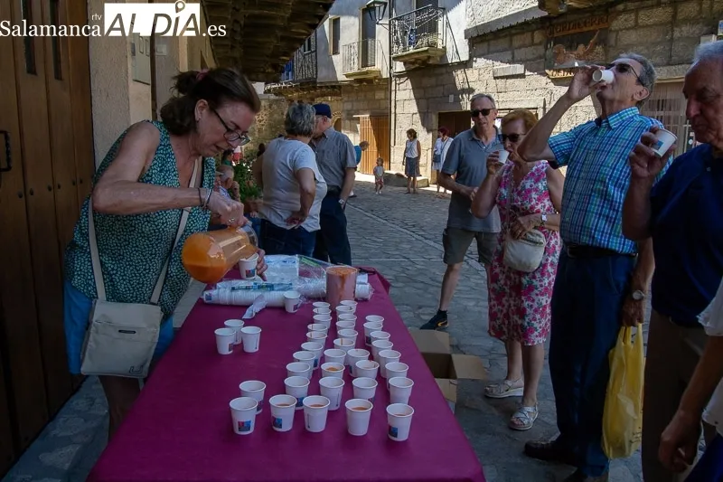 Foto 3 - El tomate, protagonista en San Mart&iacute;n del Casta&ntilde;ar