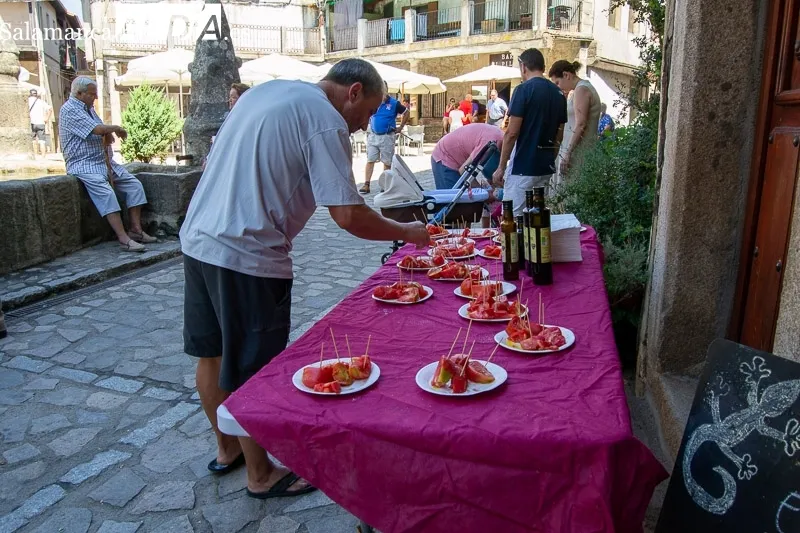 Foto 2 - El tomate, protagonista en San Mart&iacute;n del Casta&ntilde;ar