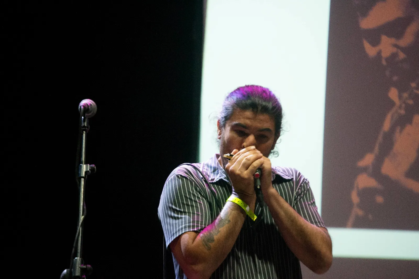 Fotos: David Sánchez