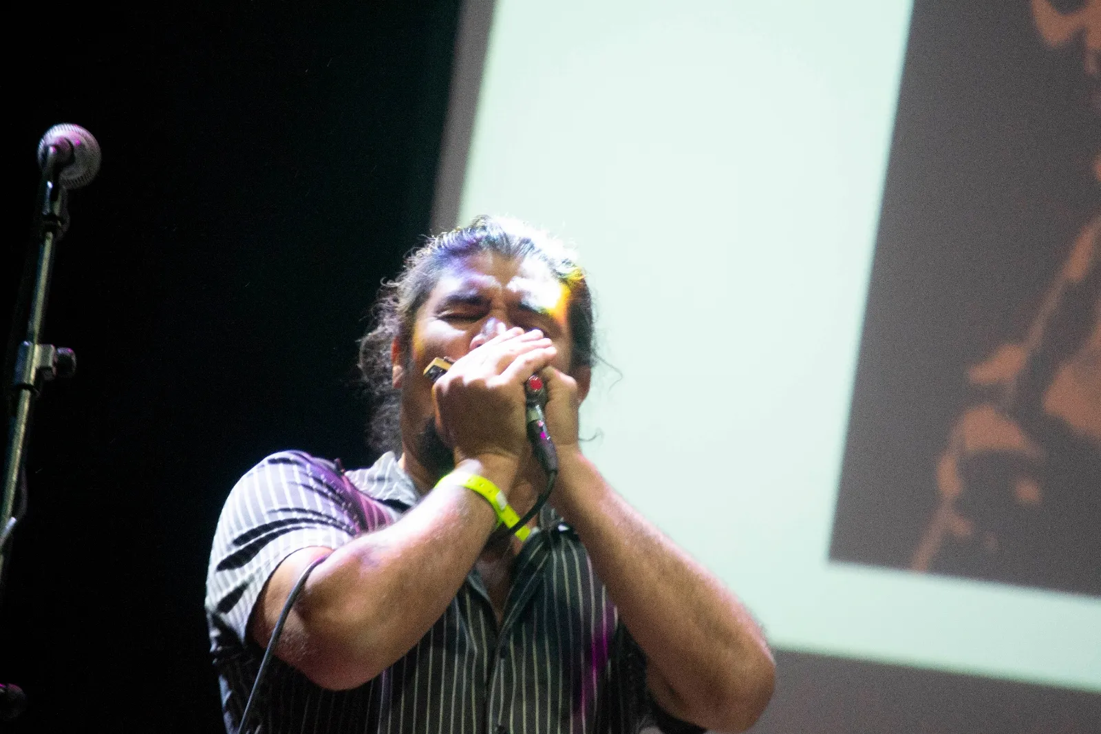 Fotos: David Sánchez