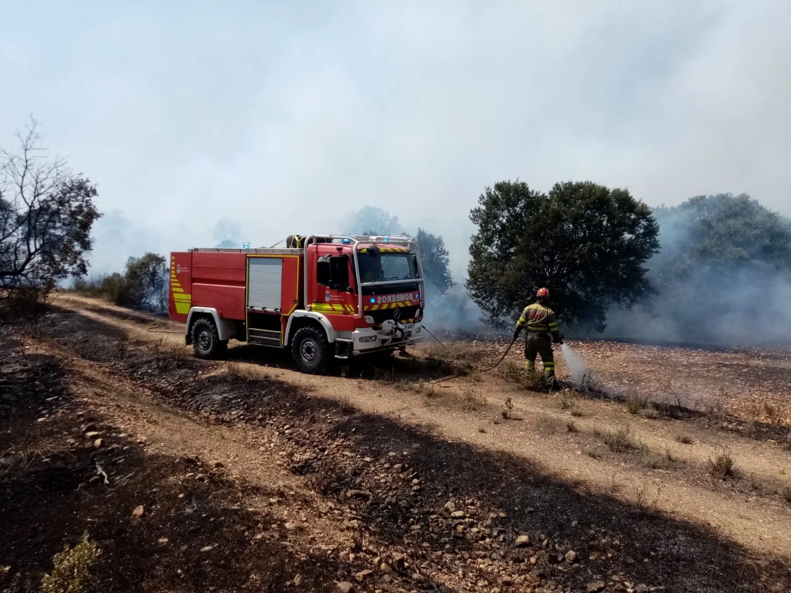 Imágenes de la lucha contra el fuego en Losacio de los bomberos de Peñaranda 