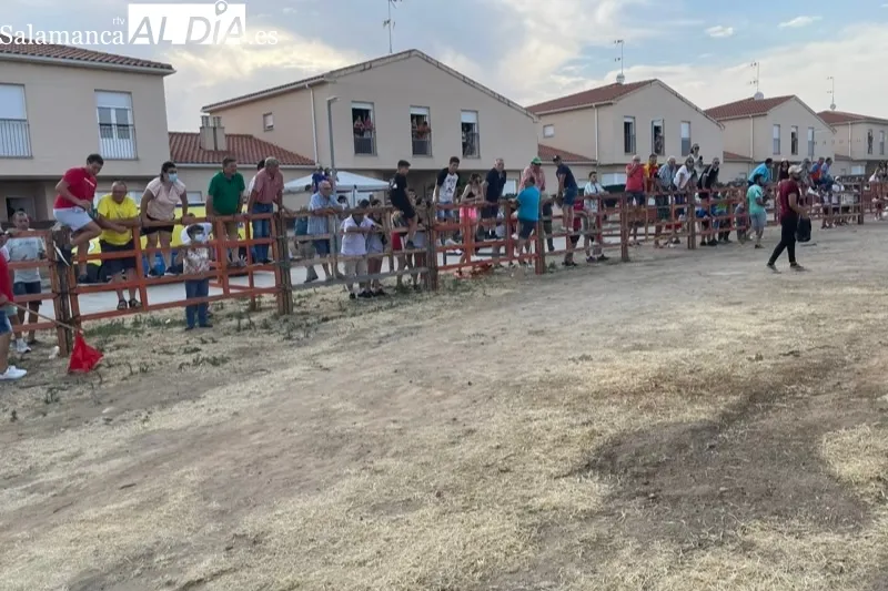 Villoruela se llenaba de aficionados para vivir el encierro del Toro del Cajòn