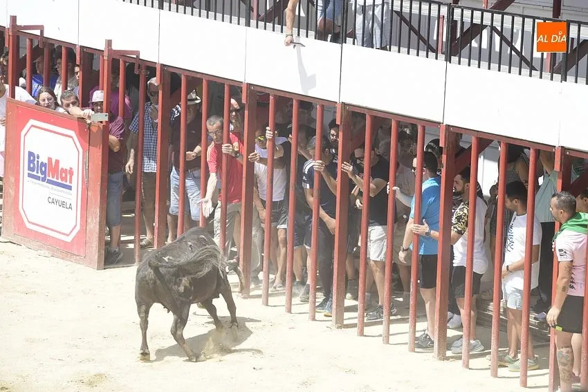 encierro moraleja san buenaventura