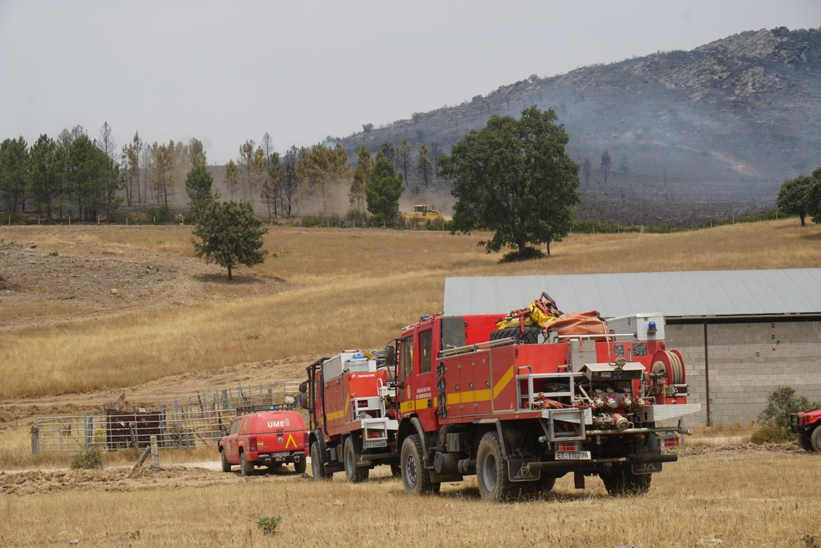 Foto 3 - El incendio ha afectado al triple de hectáreas en Salamanca que en Cáceres