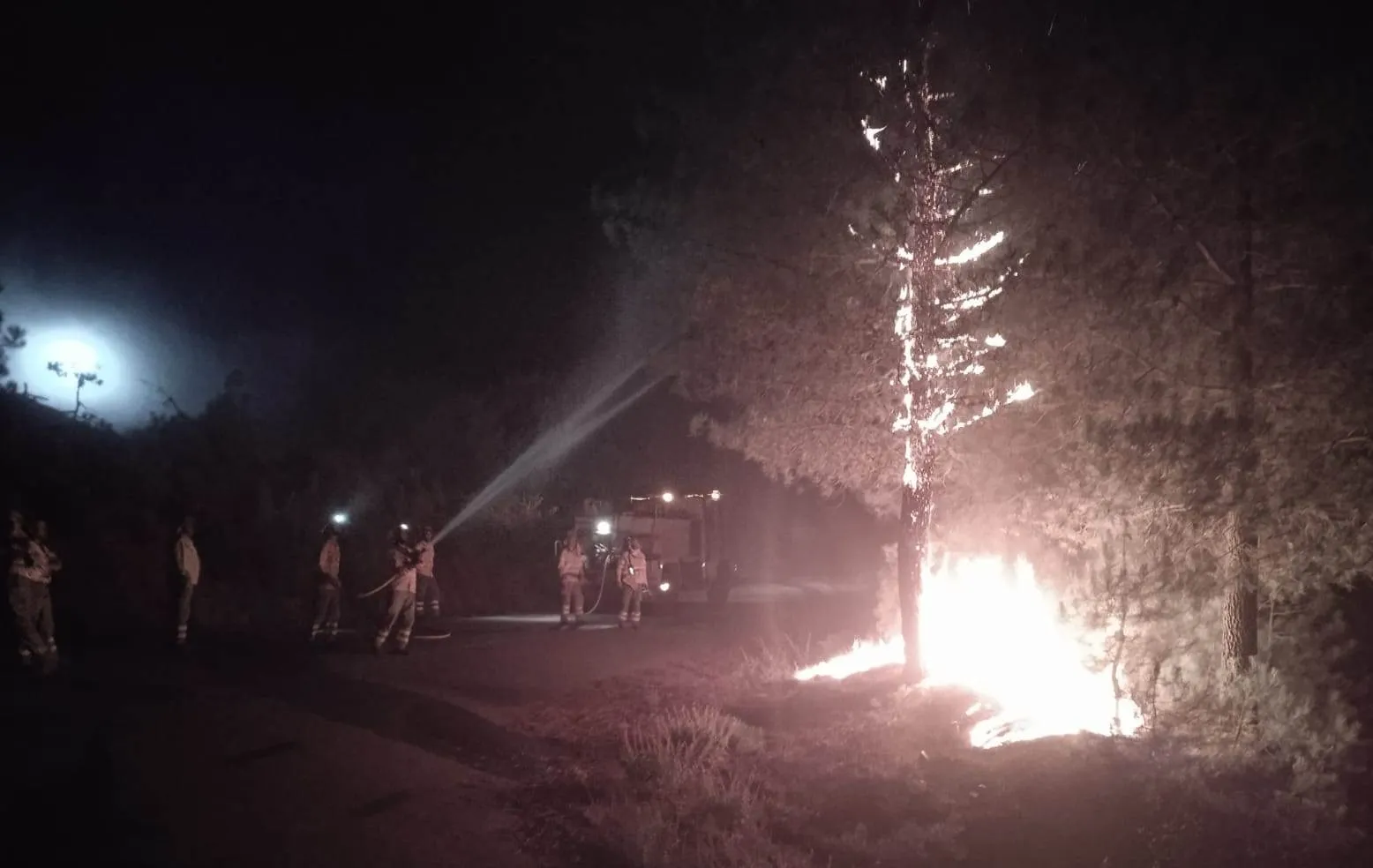 Foto 3 - Se incorporan m&aacute;s medios de la UME tras una larga noche de trabajo favorecida por la falta de viento 