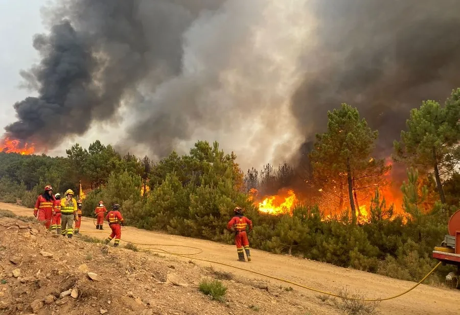 Foto 5 - La Junta asegura que el incendio de Monsagro se encuentra ya &ldquo;sin llamas&rdquo;