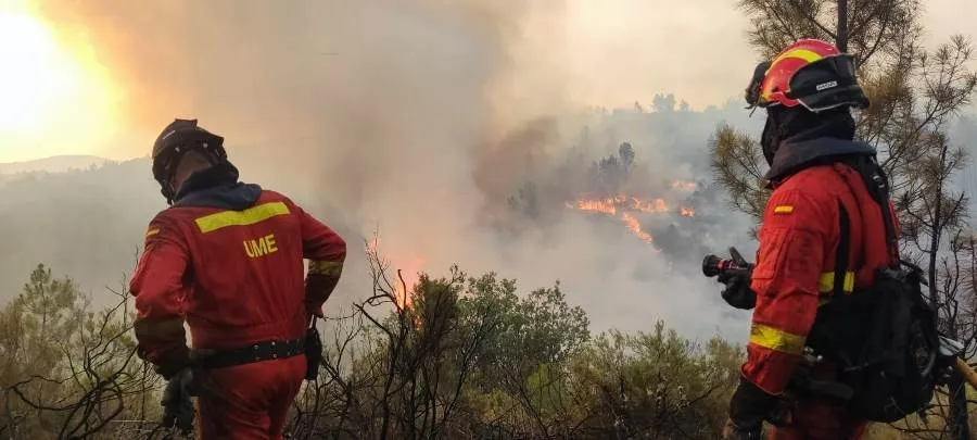 Foto 6 - La Junta asegura que el incendio de Monsagro se encuentra ya &ldquo;sin llamas&rdquo;
