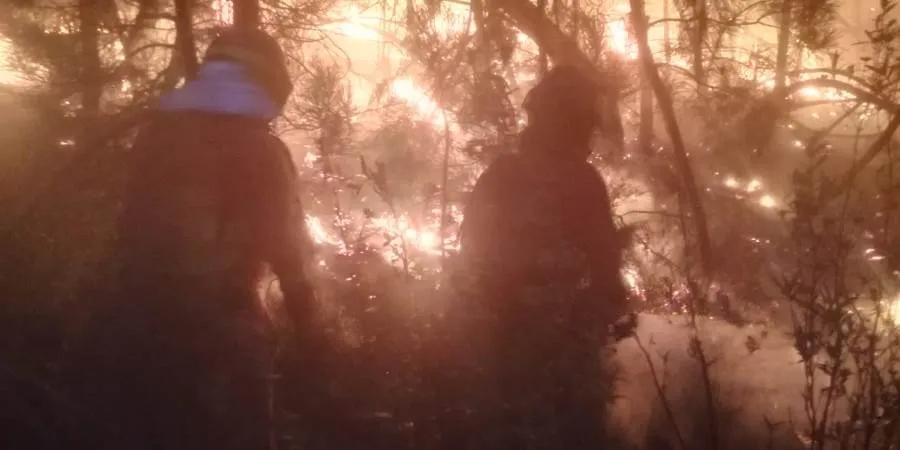Foto 4 - La Junta asegura que el incendio de Monsagro se encuentra ya &ldquo;sin llamas&rdquo;