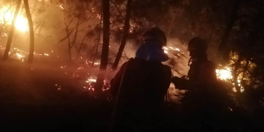 Foto 3 - La Junta asegura que el incendio de Monsagro se encuentra ya &ldquo;sin llamas&rdquo;