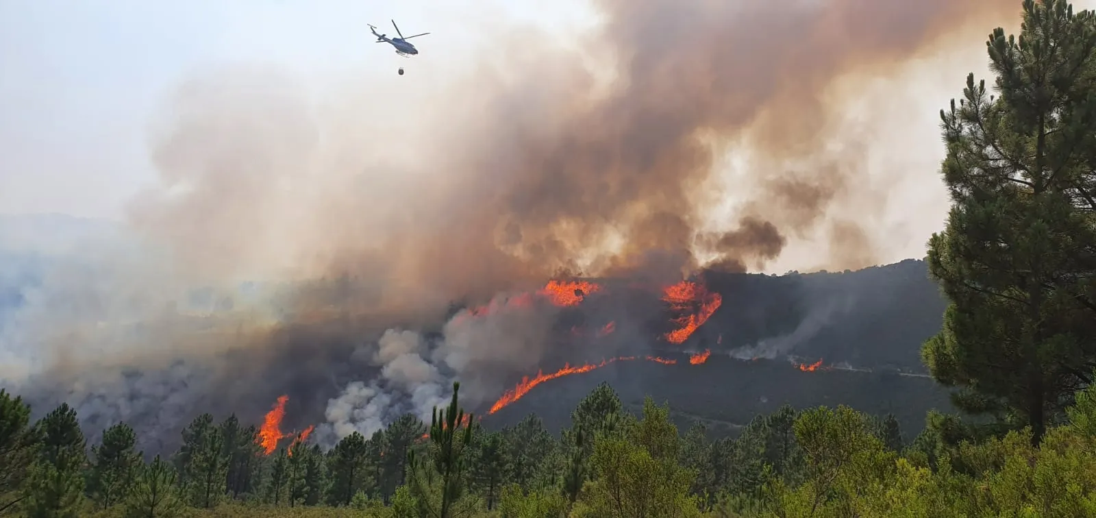 Foto 4 - Empeora durante la tarde el incendio resurgiendo las llamas y expandi&eacute;ndose hacia el este