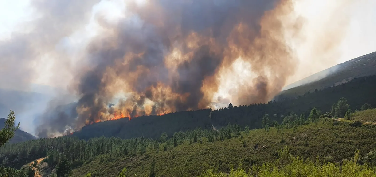 Foto 2 - Empeora durante la tarde el incendio resurgiendo las llamas y expandi&eacute;ndose hacia el este