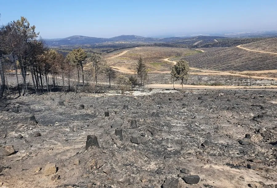 Foto 2 - Ajustada a 8.623 la cifra de hect&aacute;reas afectadas por el incendio en territorio salmantino
