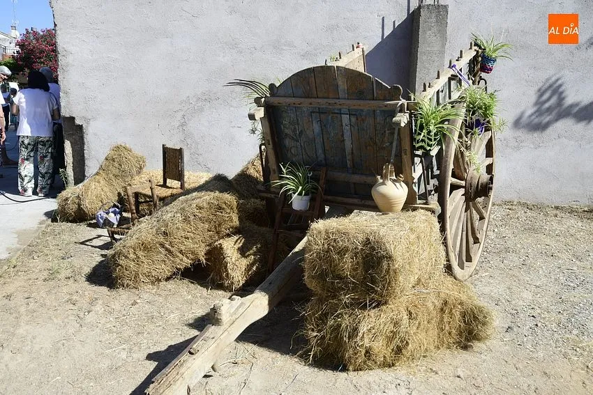 Foto 2 - Regresa con fuerza la Feria de La Raya impulsada por mujeres de Aldea del Obispo