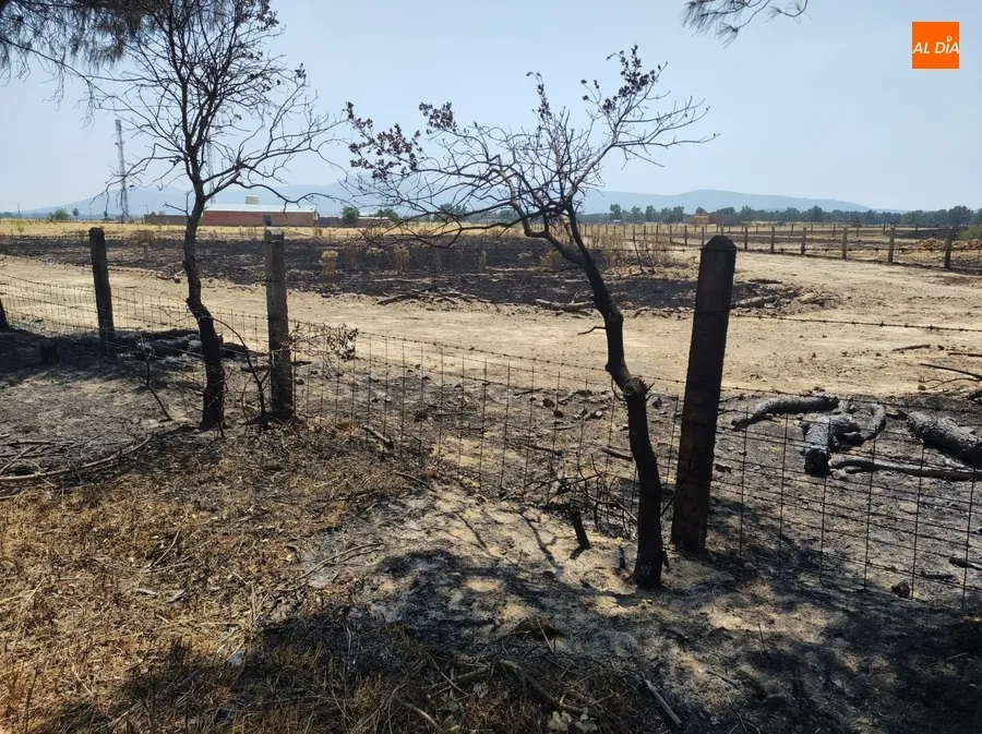 Imágenes de la zona en la mañana del miércoles | Fotos: Adrián Martín
